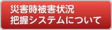 災害時被害状況把握システム