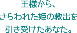 王様から、さらわれた姫の救出を引き受けたあなた。