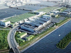 豊洲市場