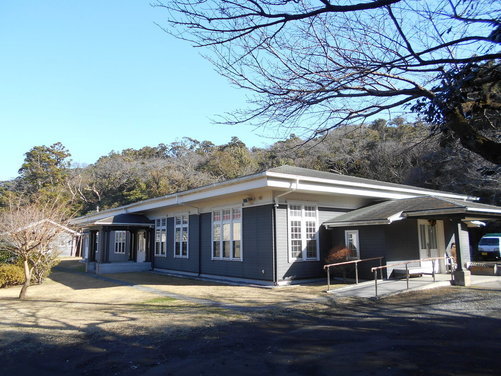 緑の中の本館