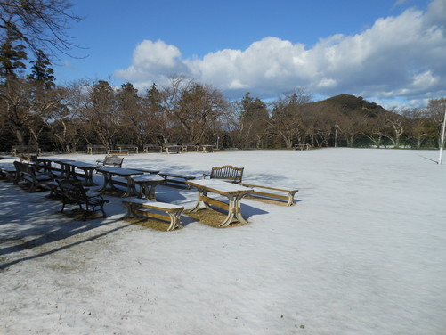 珍しい雪景色のグラウンド